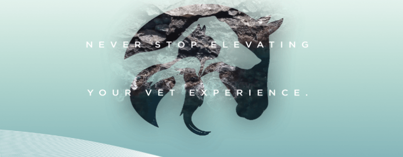 Join Esaote at the 24th European Veterinary Society for Small Animal Reproduction Congress ISCFR-EVSSAR 2020+2!