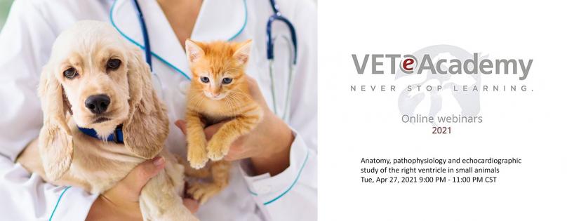 Esaote Vet Webinar: Anatomy, pathophysiology and echocardiographic study of the right ventricle in small animals