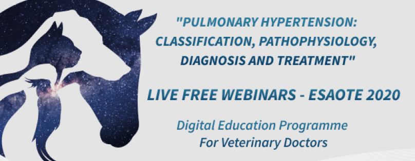 FREE WEBINAR : “Pulmonary Hypertension: Classification, Pathophysiology, Diagnosis and Treatment” from ESAOTE