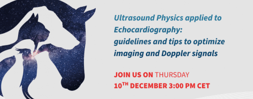 Webinar on Vet Ultrasound