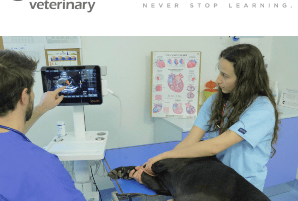 ESAOTE: your trusted partner in Education ESAVS 2022 Cardiology IV
