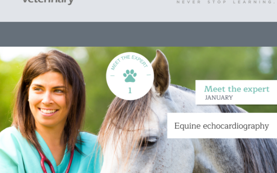 Esaote’s Meet the Expert: Equine Echocardiography